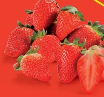 Hofer Erdbeeren Angebot