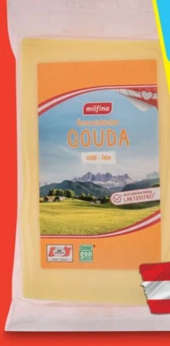 Hofer Gouda Angebot