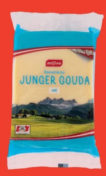 Hofer Gouda Angebot
