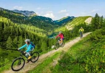 Billa Reisen Steiermark bad mitterndorf Angebot