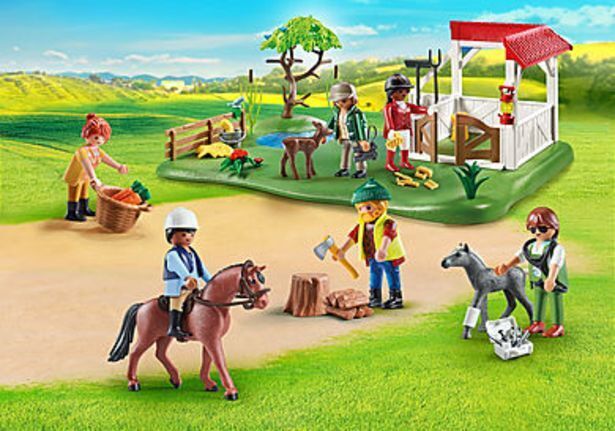 Playmobil 70978 my figures: horse ranch Angebot