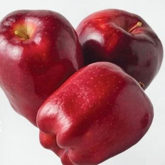 ETSAN Apfel red delicious Angebot