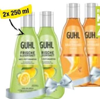 Maximarkt Shampoo Angebot