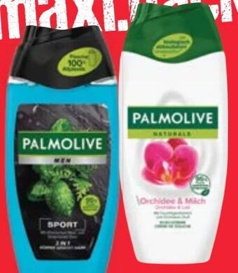 Maximarkt Duschgel Angebot