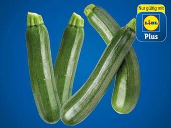 Lidl Zucchini Angebot