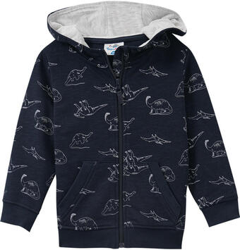 Ernsting's family Jungen sweatjacke mit dino-allover Angebot