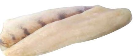 Transgourmet Zanderfilet Angebot