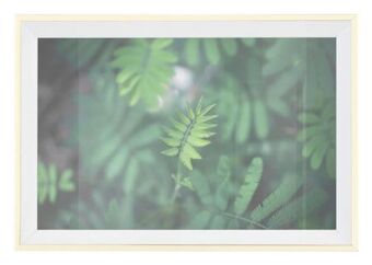 Mömax Bilderrahmen mara Angebot