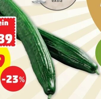 PENNY Gurken Angebot