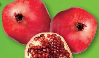 Lidl Granatapfel Angebot