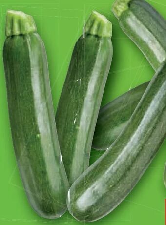 Lidl Zucchini Angebot