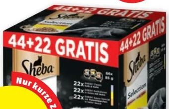 PENNY Selection Angebot