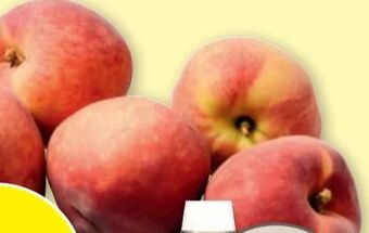 PENNY Pfirsiche Angebot