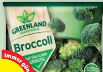 PENNY Brokkoli Angebot