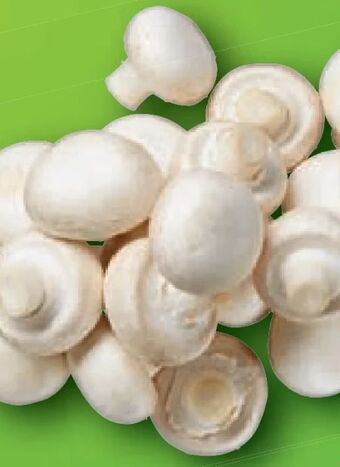 Lidl Champignons Angebot