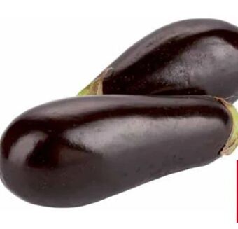 Transgourmet Melanzani Angebot