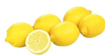 Transgourmet Bio zitronen Angebot