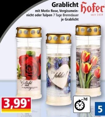 Norma hofer Grablicht Angebot