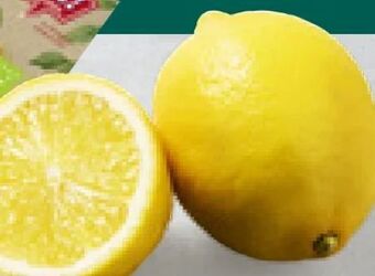 Billa Bio zitronen Angebot
