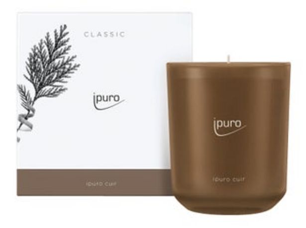 Leiner Duftkerze classic cuir Angebot