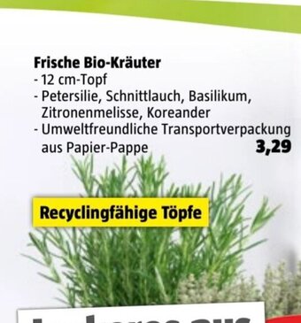 Bauhaus Frische Bio-Kräuter Angebot