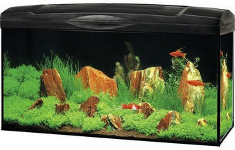 Hornbach Aquarium marina complete 54 inkl. led-beleuchtung, filter, heizer, futter schwarz Angebot