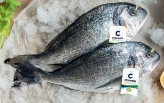 Metro Goldbrasse Angebot