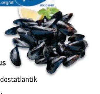 Metro Miesmuscheln Angebot