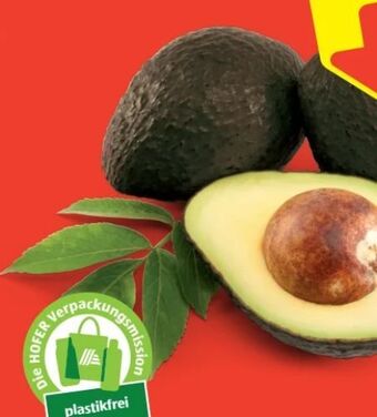 Hofer Iss reif! avocados Angebot