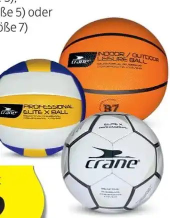 Hofer Ballspiel sortiment Angebot