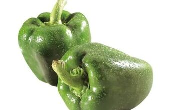 Interspar Paprika Angebot