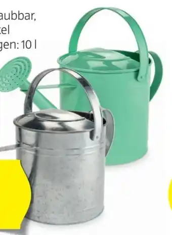 Hofer Gießkanne Angebot