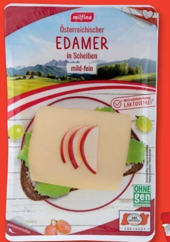 Hofer Edamer Angebot