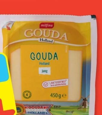 Hofer Gouda Angebot