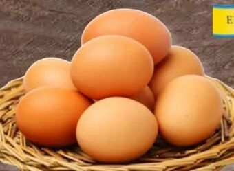 Spar Eier Angebot