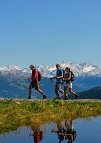 Hofer Tirol mayrhofen im zillertal Angebot