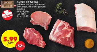 PENNY SCHOPF od. KARREE Angebot