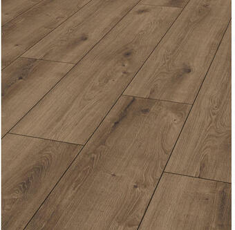 Hornbach Laminat 8.0 kashmir eiche braun Angebot