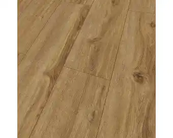 Hornbach Laminat 8.0 bavarian oak Angebot