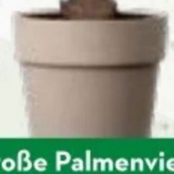 Bellaflora Topf perfetto Angebot