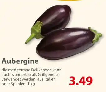 Basic Aubergine 1 kg Angebot