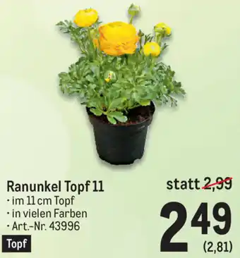 Metro Ranunkel Topf 11 Angebot
