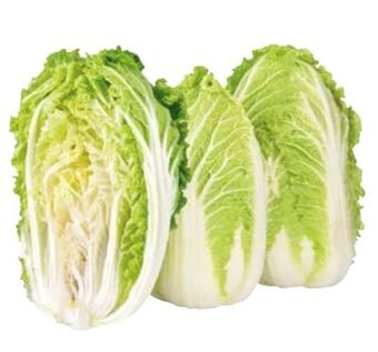 Transgourmet Chinakohl Angebot