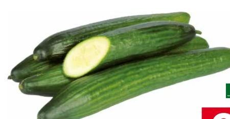 Transgourmet Bio schlangengurken Angebot