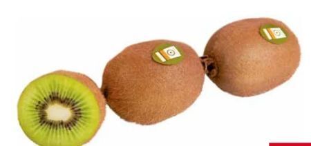 Transgourmet Bio kiwi Angebot