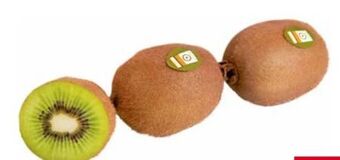 Transgourmet Bio kiwi Angebot