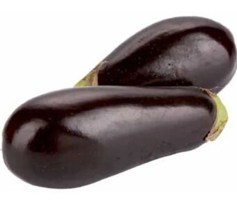 Transgourmet Melanzani Angebot