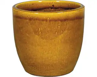Hornbach Pflanztopf oslo ton ø 47 h 36 cm ocker Angebot