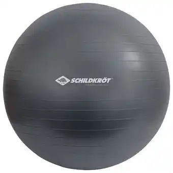 Pagro Diskont Schildkröt gymnastikball ø 85 cm anthrazit Angebot