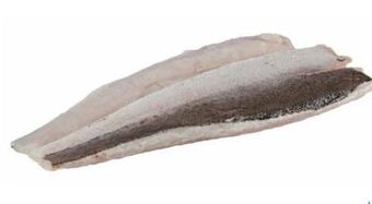 Transgourmet Kap seehechtfilet Angebot